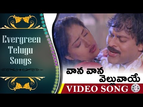 Vaana Vaana Velluvaye || Evergreen Telugu Songs - Gang Leader Movie || Chiranjeevi, Vijaya Shanthi