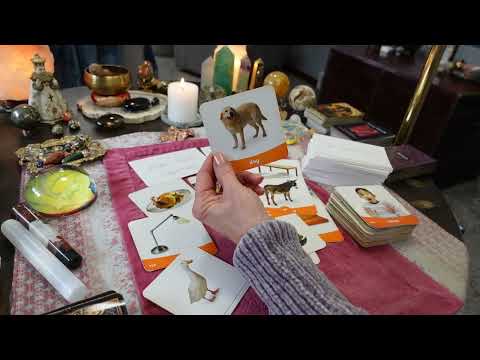 People FINALLY Realize This Ex Is A VINDICTIVE NARCISSIST! They Had EVERYONE FOOLED!