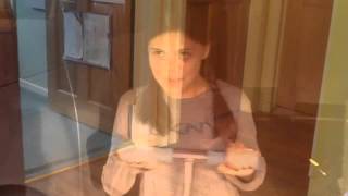 &quot;Do You Want to Build a Snowman?&quot; Fan Video