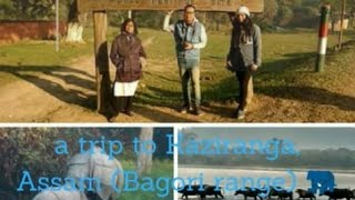 preview picture of video 'Kaziranga trip, dec, 2017'