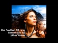 Pink Flood feat. Tiff Lacey - Some Like You (Album ...