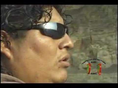 EL OSITO PARDO- MI SOLEDAD (video clip)