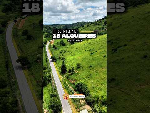 EXCELENTE PROPRIEDADE 18 ALQUEIRES PAVÃO-MG R$ 2 MILHÕES #luxo #fazenda #gado #agro #minasgerais