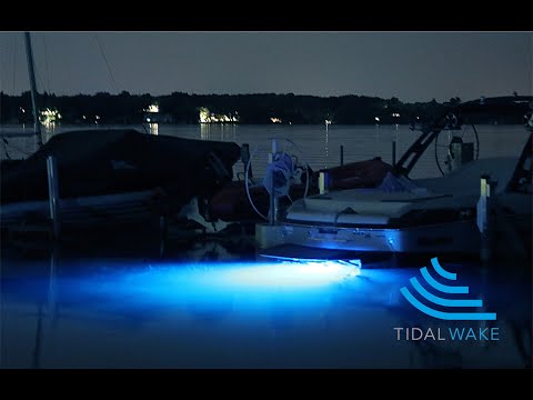Replace Your Boat Drain Plug with a Plug N' Play LED Boat Drain Plug Light in Minutes