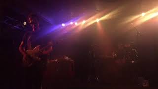 The wombats curveballs live