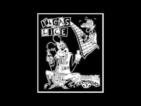 Fleas and Lice- Squat Eurodisney
