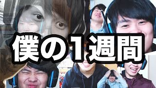 【迷シーン集】今週のこうはい対戦まとめ【ポケモン剣盾】