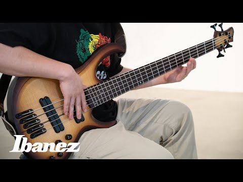 IBANEZ BTB705LM NNF Natural Browned Burst Flat / 5-String Light Multi Scale/ Bass Workshop Series / BTB705LM-NNF / I240402399 image 14