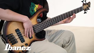 Video thumbnail for 35-34inch Light Multi-Scale BTB705LM ft. Ryozo by Ibanez Guitars