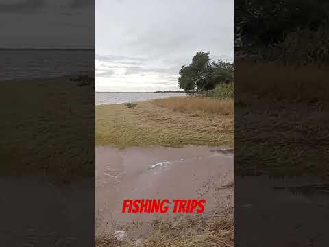 pesca en federación Entre Rios