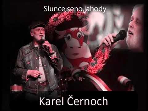 Slunce , seno , jahody -  Karel Černoch