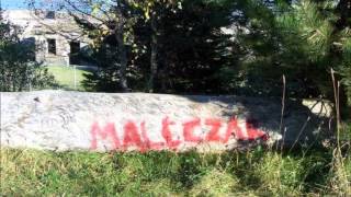 Mallczar -Bring On The Noise