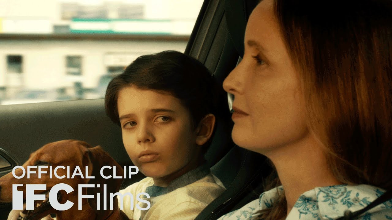 Clip "A Dog is a Dog"