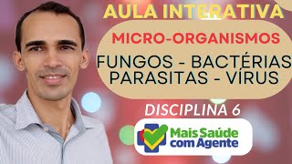 Aprenda com a Aula Interativa da Disciplina 6 | Os micro-organismos como causadores de doenças