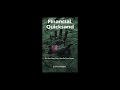 Financial Quicksand Get Out Stay Free Live On Your Terms