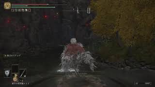初見でELDENRINGやるよーその48