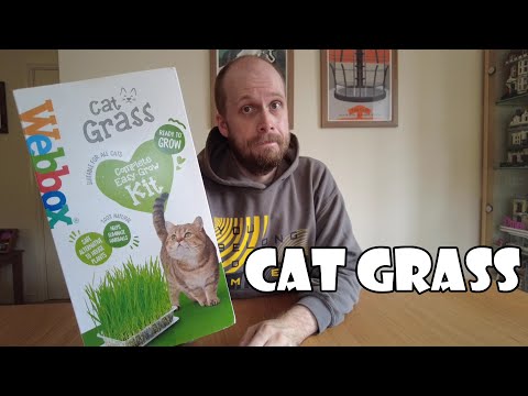 Cat Grass