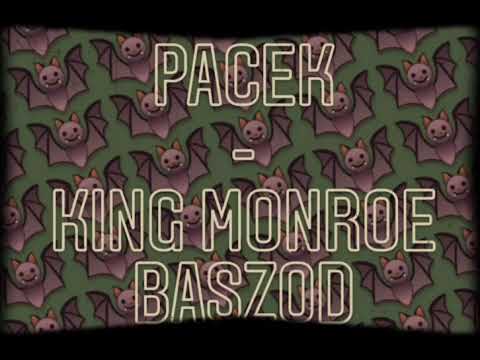 PACEK (KING BJ & PITTA X EGO) - KING MONROE BASZOD