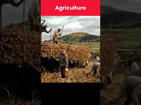 Natural Resources of Mozambique