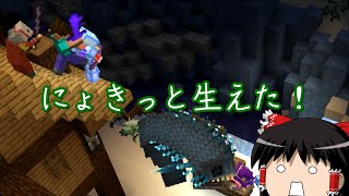 【マイクラ】魔術れ夢の国マルチ Part34【ゆっくり実況】