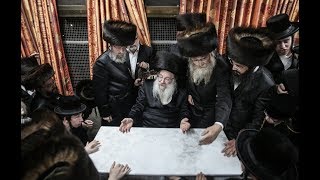 חסידי נדבורנה בשבת התאחדות במירון