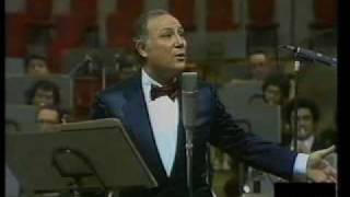 Usignolo Lyrics English Translation