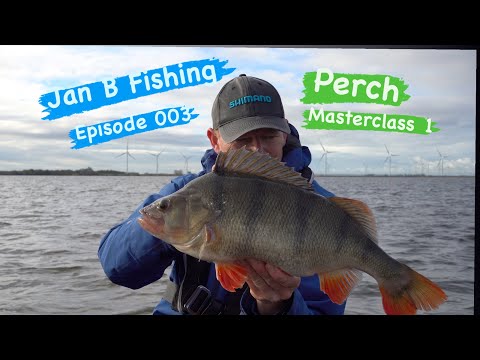 Perch Masterclass 1 Jan B fishing Episode 003