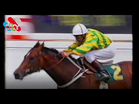 1987 Spring Champion Stakes Beau Zam