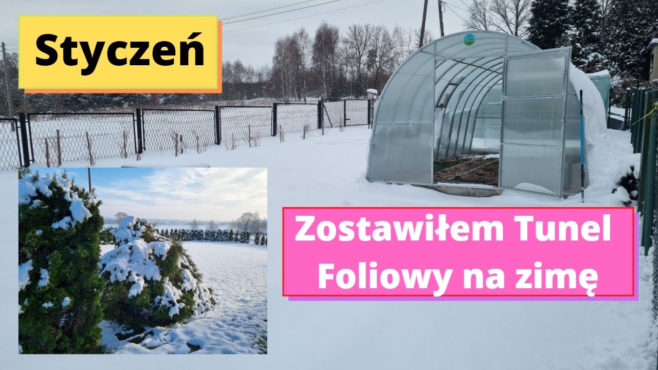 Styczeń w ogrodzie cz. 1