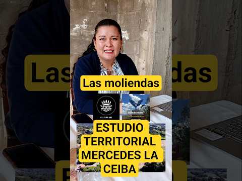 ESTUDIO TERRITORIAL DEL DISTRITO MERCEDES LA CEIBA, LA PAZ CON MOLIENDAS ACTIVAS E HISTÓRICAS