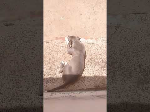 16 de outubro de 2022