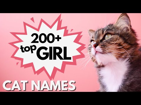 200+ Top FEMALE Cat Names | 🎀Girl Cat Names | Popular Cat Names