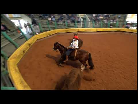 Classificatória Gaúcha - 8º lugar fêmeas - Erva Santa Cala Bassa - (Mangueira II)