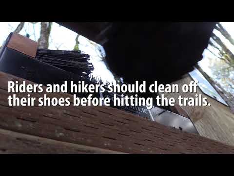 Stopping the spread of invasive plants at Sandy Ridge Trail