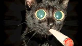 BRICK...DAZZ   (1976)