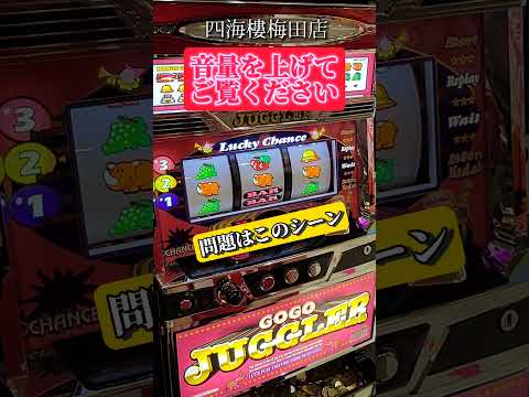 ジャグラーの花 植物