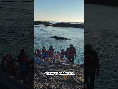 Celebrity Flora Galapagos  Moreno Point on Isabela Island