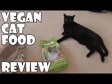 Vegan Cat Food Review