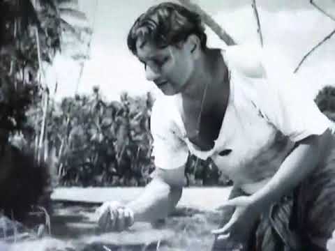 Mini Muthu Pasata - Thilakasiri Fernando (Film : Rekhawa)