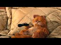 Garfield TV Spot 2 2004 Family Comedy Jennifer Love Hewitt