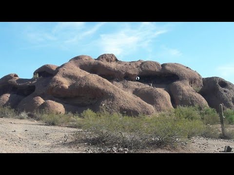 18. Giant Petrified Creatures and Beasts