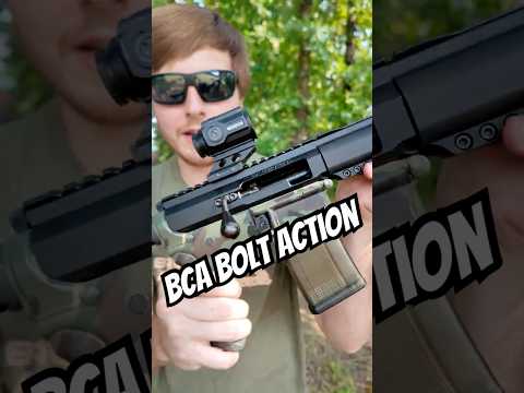 Budget vs Baller Bolt Action AR