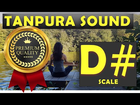 D# Scale Tanpura | Tanpura D Scale | All Tanpura Scales in HQ