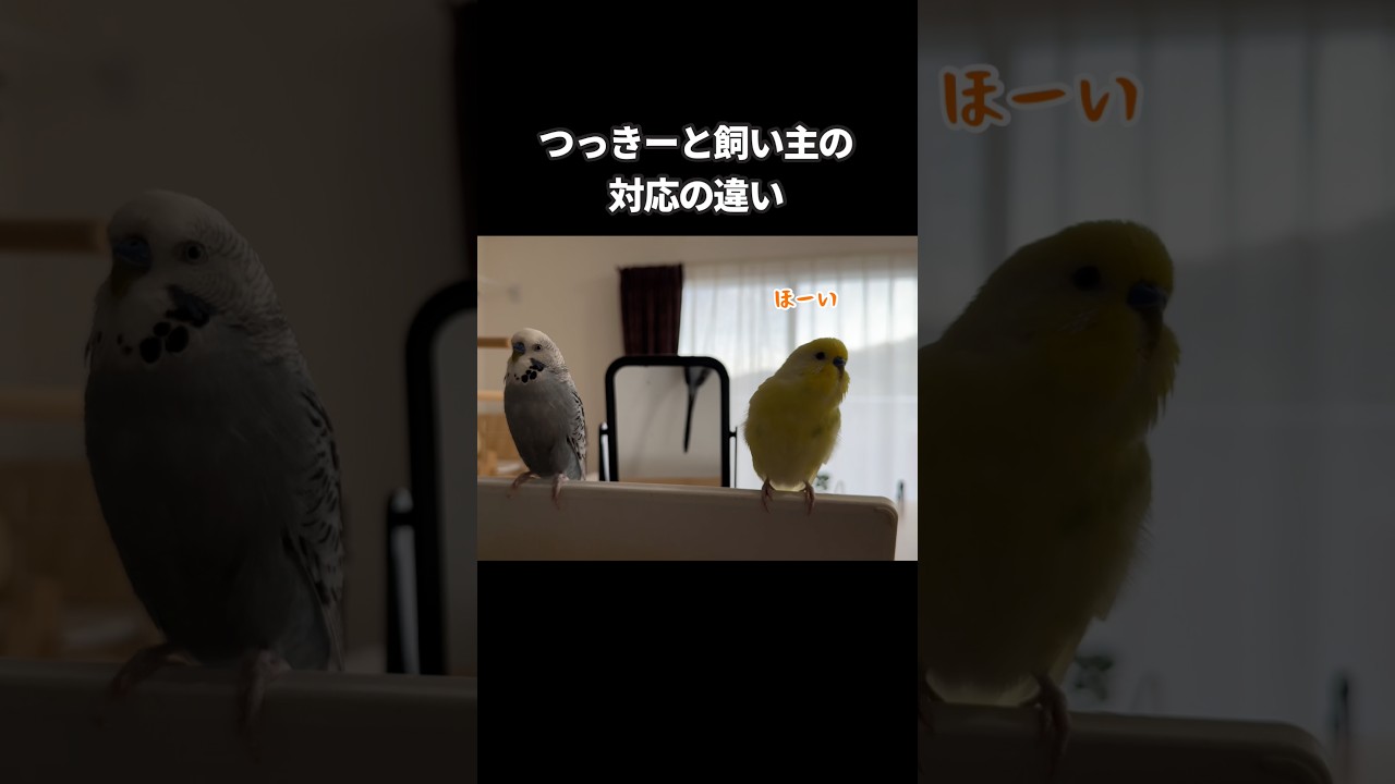 温度差がすごい笑