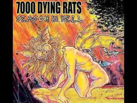 7000 Dying Rats - 
