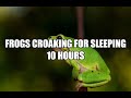 Frogs Croaking for sleeping 10 Hours