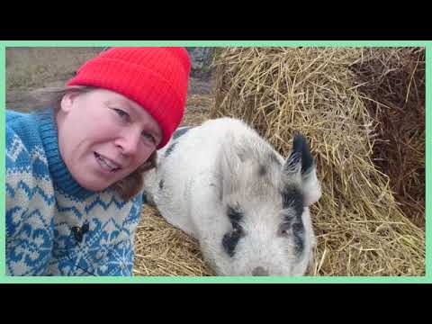 Lucka 2 - Pella Thiel