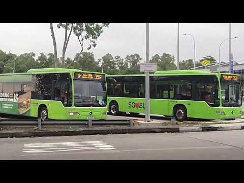 The Road Ahead (2021 NDP Theme Song): Singapore Buses Edition