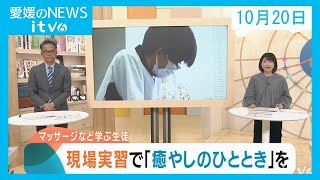 愛媛のニュース(10月20日)