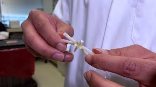Scientists create monthly birth control pill